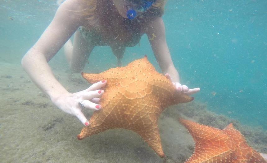 Apartmán Kitnet Aconchegante A 200M Da Praia Angra dos Reis Exteriér fotografie